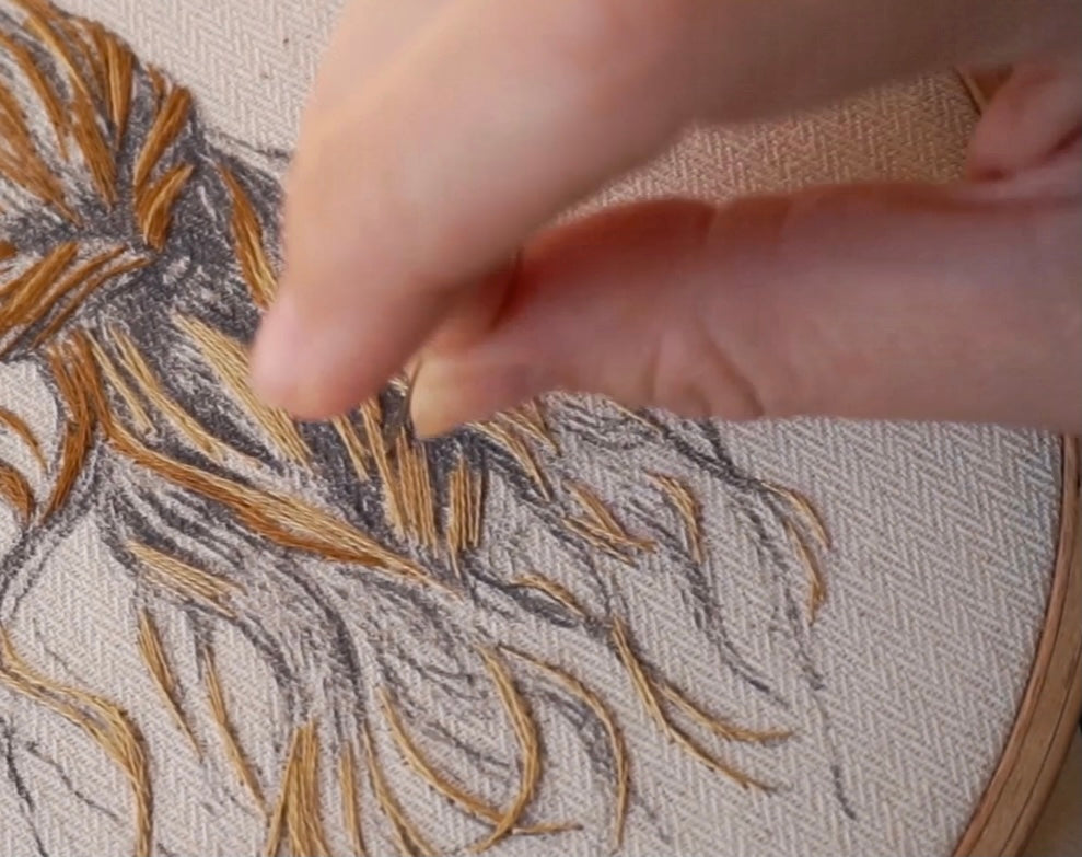Hair Study Online Course